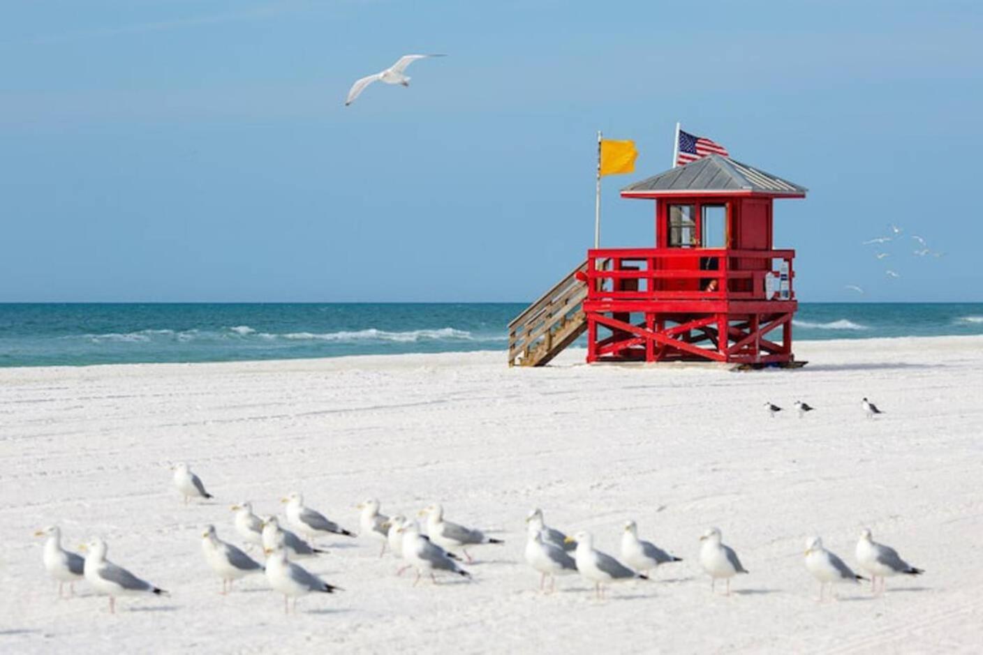 Beachside Bliss 1 Miles To The With Heated Pool Sarasota